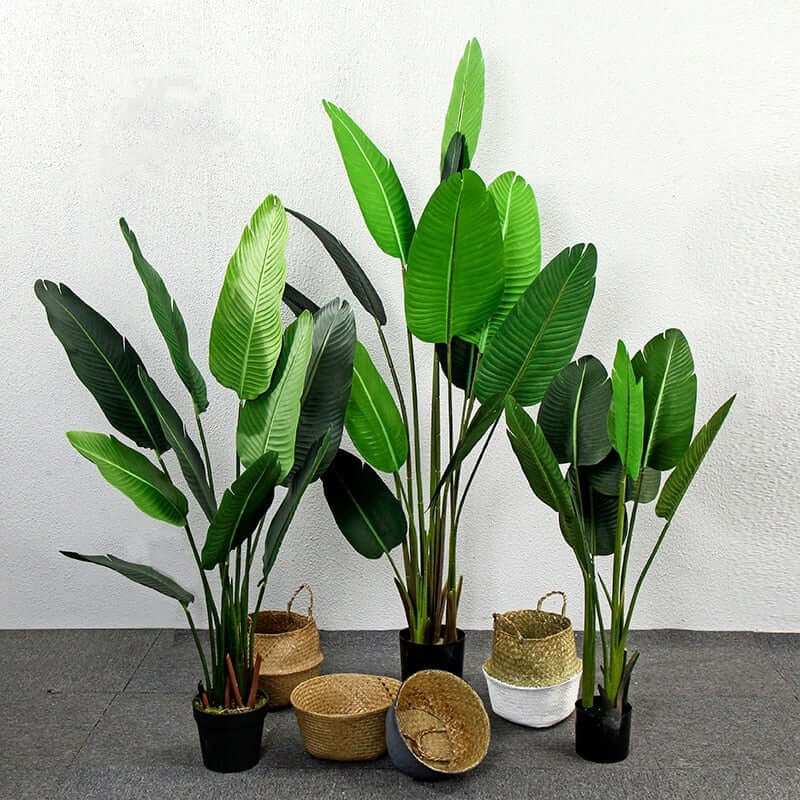 Real Touch Taro Leaves